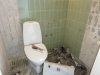 Toilet Renovering 